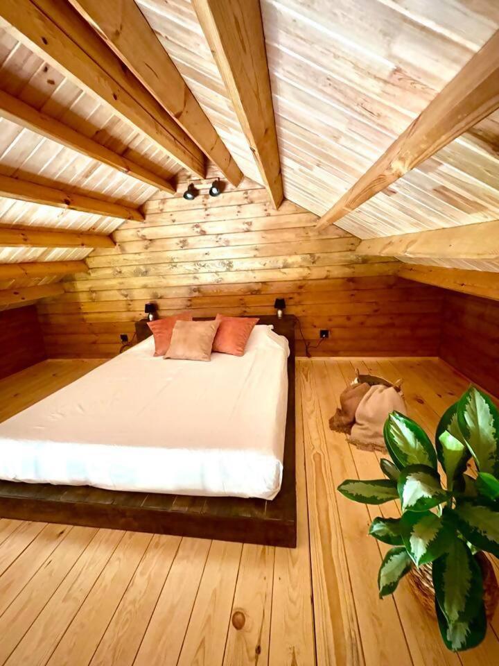 Mountain Eco Shelter 3 Hotel Corujeira de Dentro Екстериор снимка