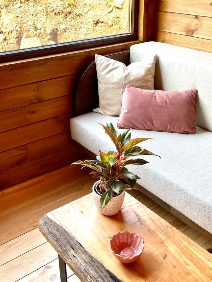 Mountain Eco Shelter 3 Hotel Corujeira de Dentro Екстериор снимка